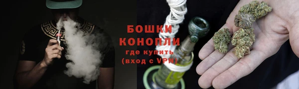 дмт Богородицк