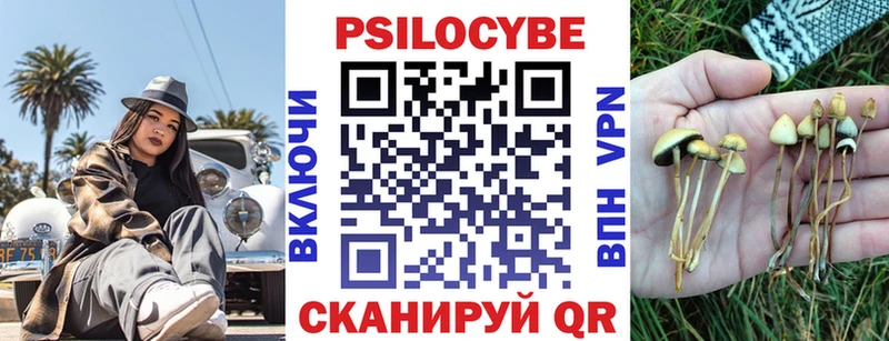 Псилоцибиновые грибы Cubensis  Светлый 