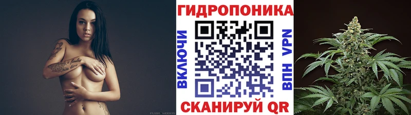 продажа наркотиков  Светлый  МАРИХУАНА AK-47 
